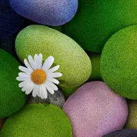 سیم کارت همراه اول دائمی