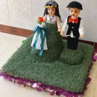 سبزه|گل و گیاه طبیعی|کوهدشت, |دیوار