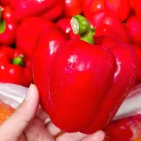 ترشی و رب فلفل دلمه