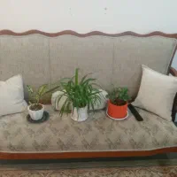 سرویس چوب|مبلمان خانگی و میز عسلی|قم, عمار یاسر|دیوار
