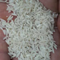 برنج فجر|خوردنی و آشامیدنی|پره‌سر, |دیوار