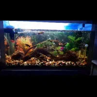 فروش آکواریوم با تمام لوازم یکجا