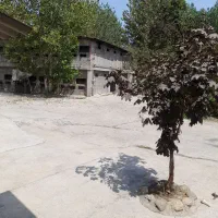 کار در مرغداری مکانیزه اول پیشخان