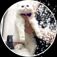 فراغت و سرگرمی