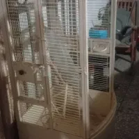 قفس طوطی بزرگ