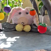 یک هدیه خاص|تخت و صندلی بچه|کاشان, فاز ۲ ناجی آباد|دیوار