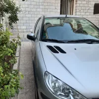 206 sd v20|خودرو سواری و وانت|تهران, نارمک|دیوار