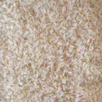 برنج محلی کامفیروز