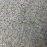 کارگر ساده ایرانی و اتباع