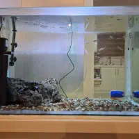 فروش آکواریوم با لوازم