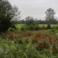 زمین-مسکونی-250-متر-سند-تک-برگ