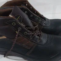 کفش ایمنی کار