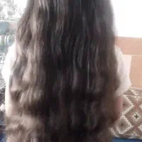 فروشنده مو هستم