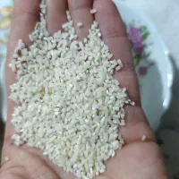 برنج اشکور  هاشمی ریزه