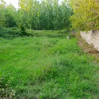 زمین-مسکونی-روستایی-سند-تک-برگ