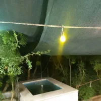 درخواست نیروی خدماتی و سرایداری|استخدام سرایداری و نظافت|یزد, |دیوار