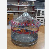 قناری خاکی ..جوجه امسال درجه ۱