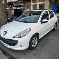 استاد کار نقاش اتومبیل