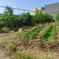 فروش تجاری مسکونی