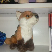 عروسک پولیشی|اسباب‌‌بازی|زنجان, |دیوار