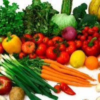 ارگانیک ادیبی