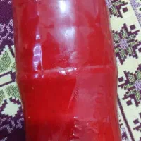 رب تازه