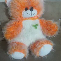 عروسک|اسباببازی بچه|صدرا-فارس, فاز ۲|دیوار