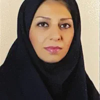 ثبت شرکت وکارت بازرگانی و سامانه ستادمناقصه و ...