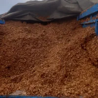 خوراک دام وطیور چغندر و سیب مخصوص گاو و گوسفند|لوازم جانبی حیوانات|رشت, توشیبا|دیوار