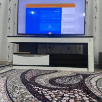 زیر تلوزیونی