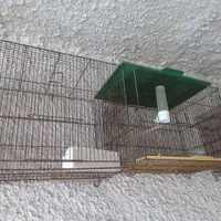 قفس پرنده