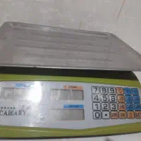 ترازو دیجیتال کمری و تاب کودک