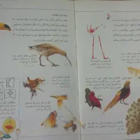 دایره المعارف جهان کودک|کتاب و مجله آموزشی|تهران, باغ فیض|دیوار