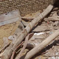 خریدار چوب تر وخشک ضایعات سقفی باغی وغیره