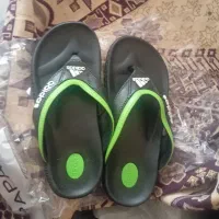 ۱۰۰ عدد دمپایی پنج کارتن ۲۰ تایی|کیف، کفش، کمربند|شیراز, دشت چنار|دیوار