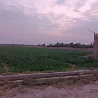 زمین کشاورزی