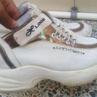 کفش زنانه|کیف، کفش، کمربند|بروجرد, |دیوار