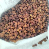 کشمش پلویی و آجیلی درجه اعلا|خوردنی و آشامیدنی|تبریز, |دیوار