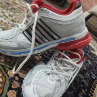 ادیداس فارماتونی اصل|کیف، کفش، کمربند|یاسوج, |دیوار