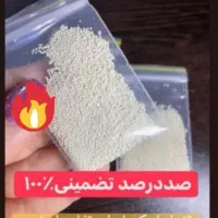پک درمان قطعی شپش