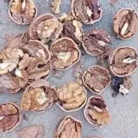 فروش گردوی تازه همدان|خوردنی و آشامیدنی|تربت جام, شهرک معلم|دیوار