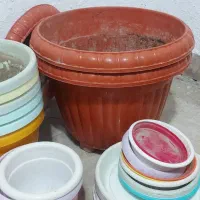 گلدان های متفاوت دانه ایی فقط ۱۵۰
