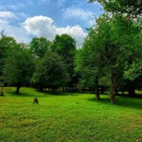 زمین-بر-مولوی