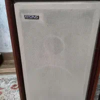 اسپیکر وینتیج ریزینگ ژاپن|سیستم صوتی خانگی|رشت, منظریه|دیوار