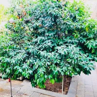 فروش خانه ویلایی