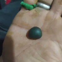 کارکرده