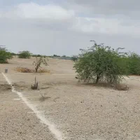زمین پیرچیلی قلعه قاضی واگذاری بنیاد مسکن