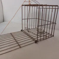 تله فلزی گنجشک و پرندگان کوچک