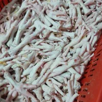 فروش پای مرغ ضایعاتی