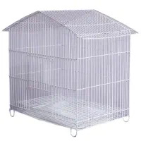 طوطی پیدا شده